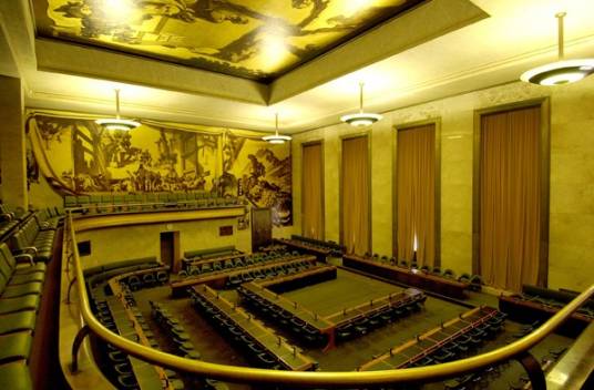 议会(立法或权力机构)