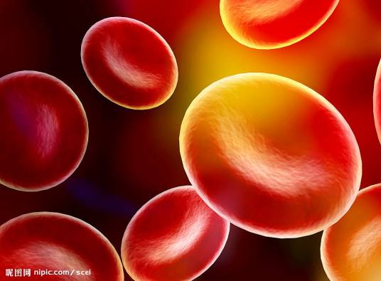 血细胞（在于血液中的细胞）