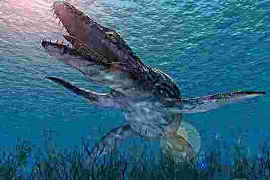 滑齿龙(上龙科滑齿龙属动物)