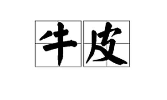 牛皮(牛的皮肤)