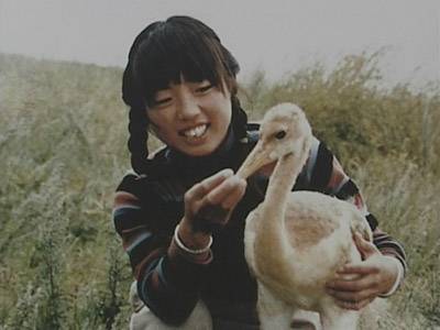 徐秀娟（环保工作者（中国第一位驯鹤姑娘））