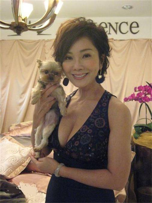 陈美凤（中国台湾知名女演员、歌手、主持人、作家）