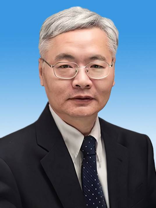 陈学东（中国工程院院士、特种设备设计制造与运行维护工程科技专家）