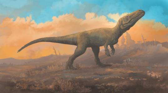 蛮龙（是生活于晚侏罗世的大型兽脚类恐龙）