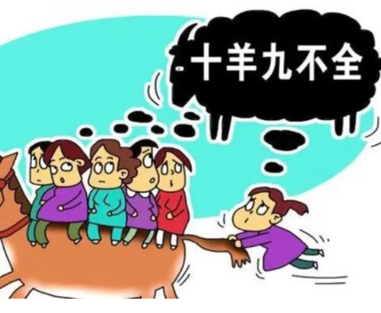 十羊九不全