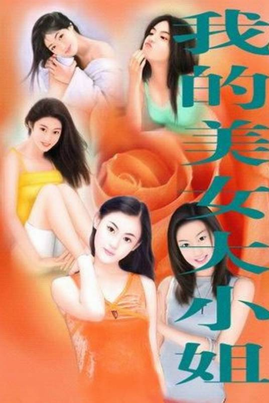 我的美女大小姐（李兴禹创作的都市生活类网络小说）
