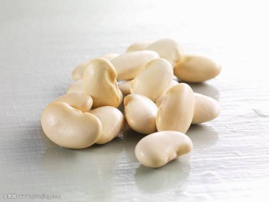 白豆（植物物种）