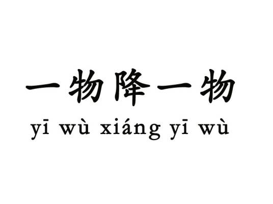 一物降一物（汉语俗语）