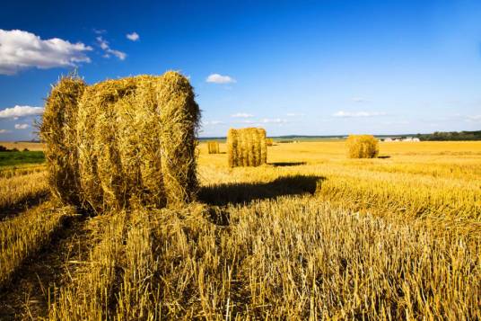 金秋（指秋季）