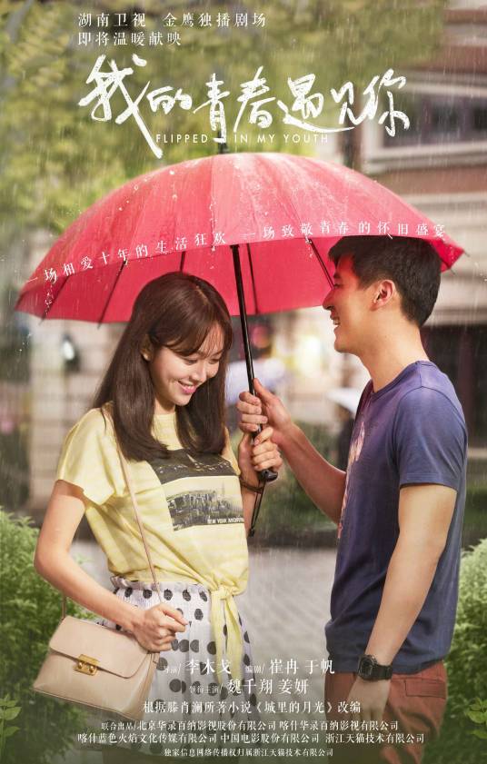 我的青春遇见你(2018年李木戈执导的电视剧)