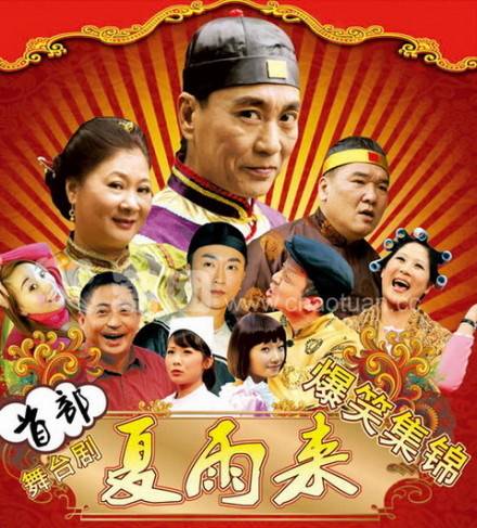 夏雨来（赵曙光导演的电视剧）