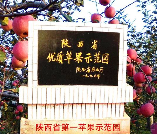 赵家（咸阳市旬邑县原底乡下辖村）