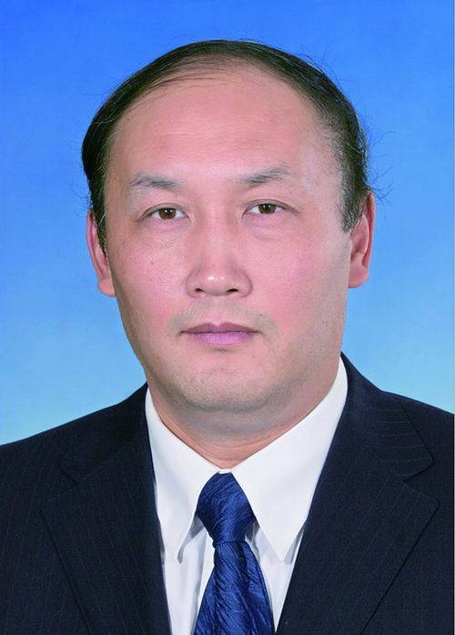 杨卫(固体力学专家、中国科学院院士)