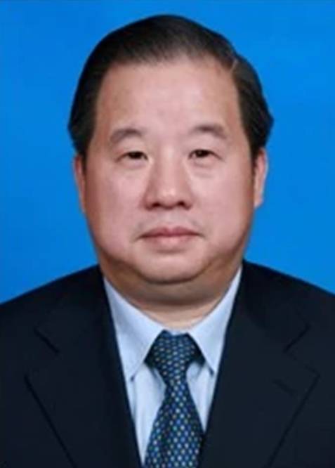 傅军（新华联集团董事局主席兼总裁）