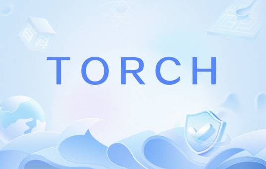 TORCH（疾病医学术语）