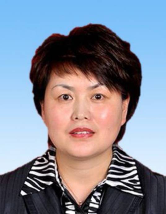 李晓燕(内蒙古自治区呼和浩特市委常委、赛罕区委书记)