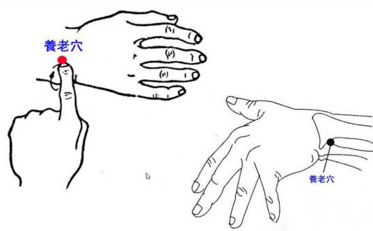 养老穴