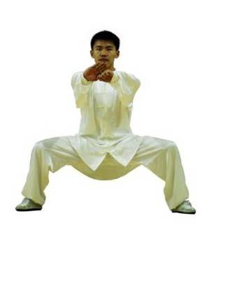 马步（武术传统步法）