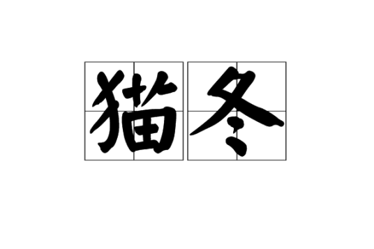 猫冬(汉语词语)