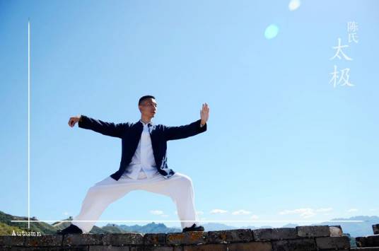 陈氏太极(太极拳的一种)