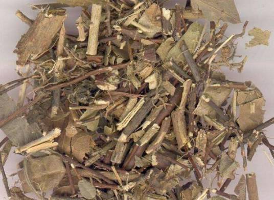 络石藤（中药）