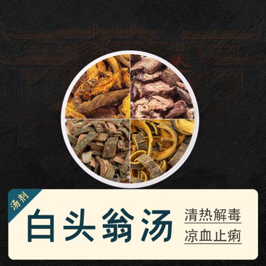 白头翁汤