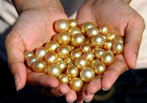 金珍珠（海水养殖珠）