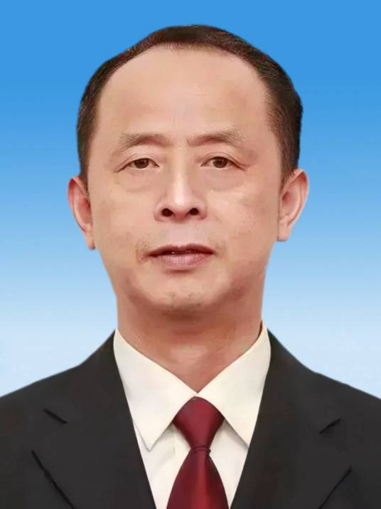 李智（陕西省高级人民法院原党组书记、院长）