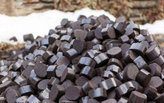 燃料（有机无机可燃物体）