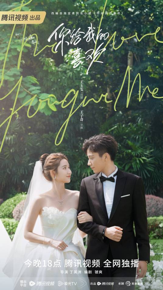 你给我的喜欢（2023年王玉雯、王子奇主演的都市情感电视剧）