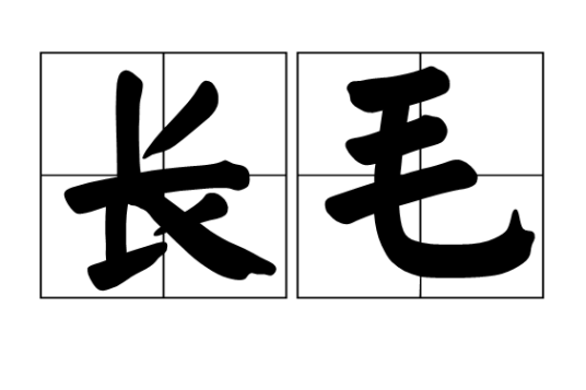 长毛（汉语词语）