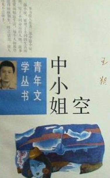 空中小姐（王朔中篇小说）