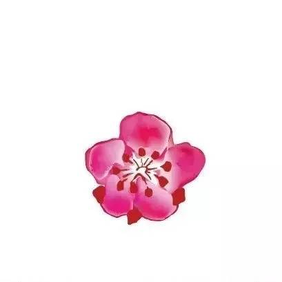 南京市市花