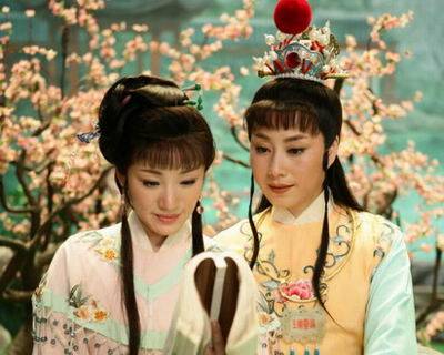 红楼梦（胡雪阳执导新版越剧）