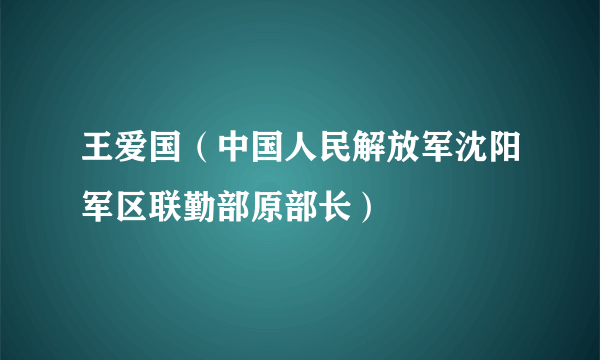 王爱国（中国人民解放军沈阳军区联勤部原部长）