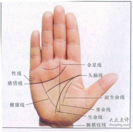 命运线（手纹中的主要辅助线）