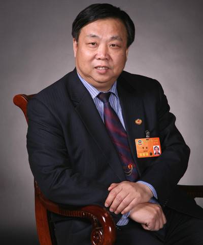 贺强(中央财经大学教授)