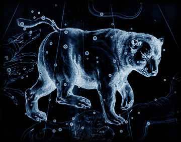 大熊座（北天星座之一）