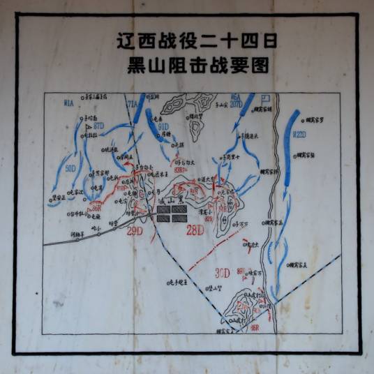 黑山阻击战（解放战争著名战役）