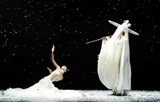 雀之灵（杨丽萍自编自演女子独舞）