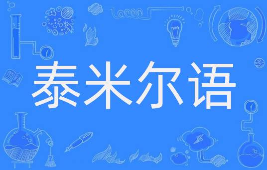 泰米尔语（印度宪法承认的语言之一）