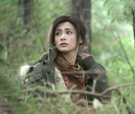 丁瑶（电视剧《女娲传说之灵珠》中的人物）