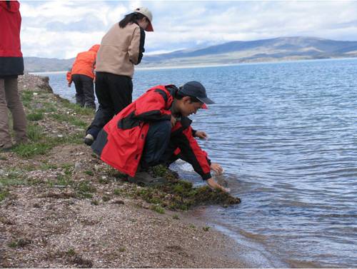 水色（水文术语）
