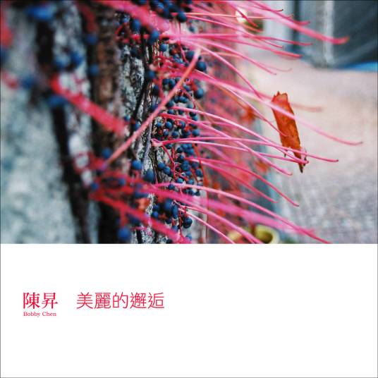 牡丹亭外（陈升演唱歌曲）