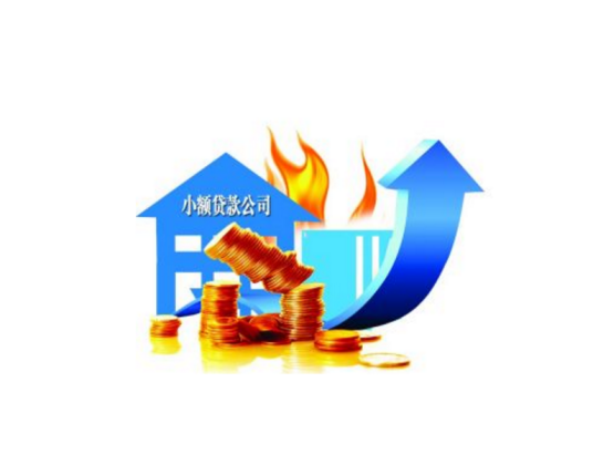 小额贷款公司（经营小额贷款业务的有限责任或股份有限公司）