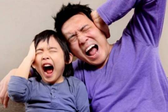 噪声污染(发声体做无规则振动时发出的声音)