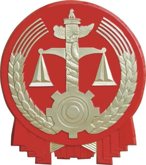 法律（高等教育中的专业）