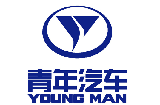 青年汽车集团有限公司