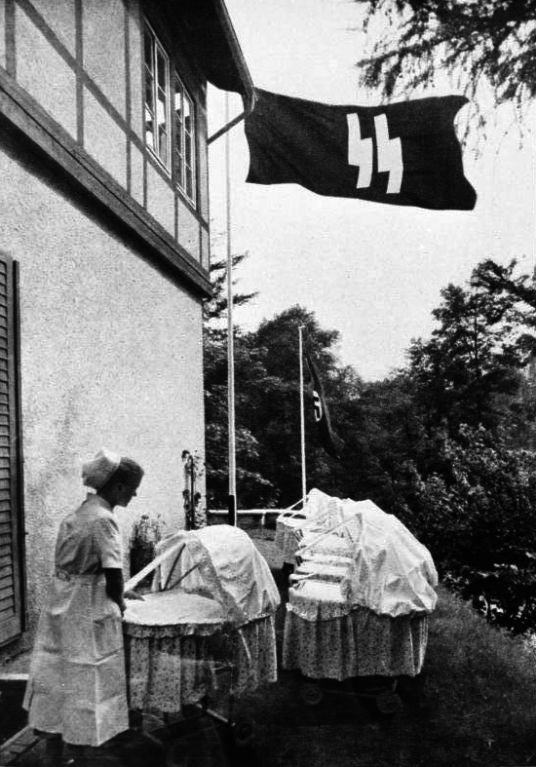 生命之泉（纳粹计划）