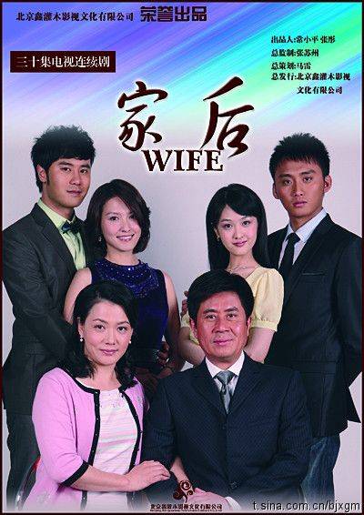 家后(2009年杨智谦导演的生活情感剧)